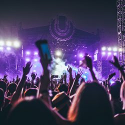 hanny-naibaho-388579-unsplash hanny-naibaho-388579-unsplash