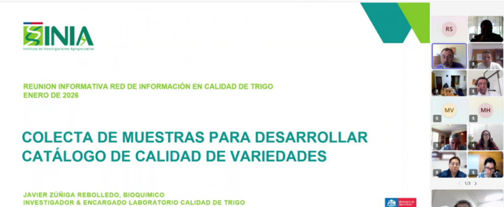 Agrícola Central participa en la Red de Información para el Catálogo de Trigo 2026