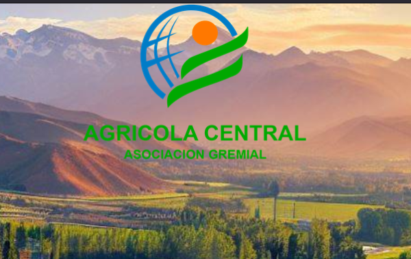 Agrícola Central exige garantías de fiscalización para la categoría de vino bajo alcohol