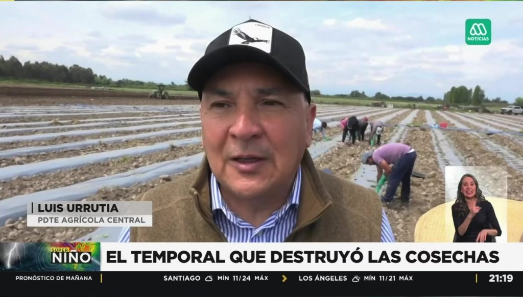 Luis Urrutia, presidente de Agrícola Central, en un campo de cultivo durante una nota de Meganoticias.