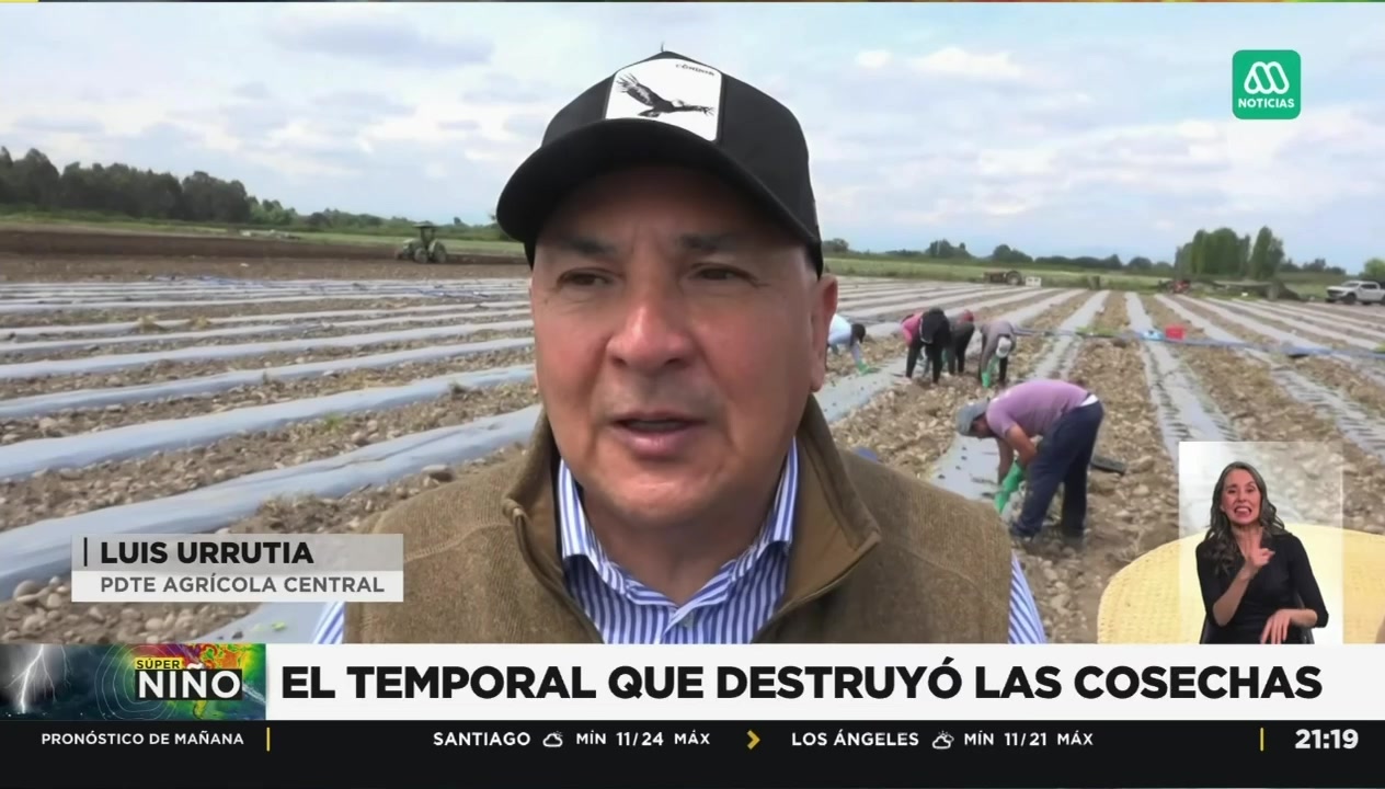 Luis Urrutia, presidente de Agrícola Central, en un campo de cultivo durante una nota de Meganoticias.